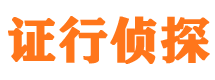 高陵市私家侦探